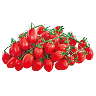 Siri Tomato From Known You Seed (India) (1)-KYI